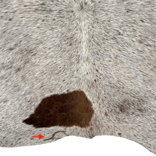 Closeup of this Tricolor Speckled Brazilian Cowhide, showing one brand mark on the left side of  the butt (BRSP3826)