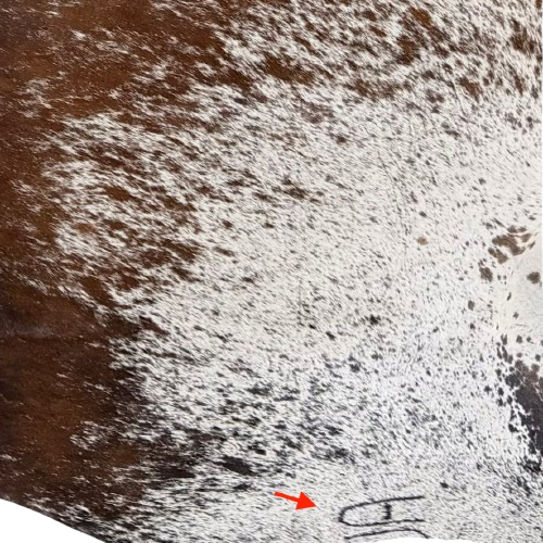 closeup of this Large Tricolor Speckled Brazilian Cowhide, showing one brand mark on the right side of the butt  (BRSP3827)