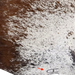 closeup of this Large Tricolor Speckled Brazilian Cowhide, showing one brand mark on the right side of the butt  (BRSP3827)