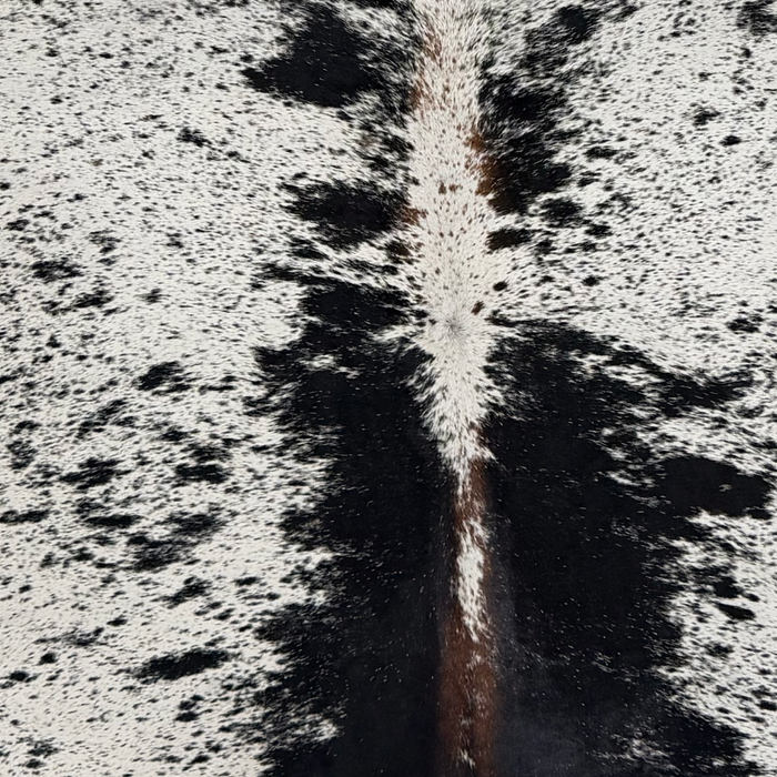 Closeup of this XL Speckled Brazilian Cowhide, showing white with black speckles and spots, and brown spots down the spine (BRSP3834)