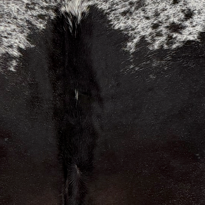 Closeup of this XL Speckled Brazilian Cowhide, showing mostly solid black on the back with hints of dark brown mixed in, a few white speckles on the spine, and white with black speckles and spots on the shoulder (BRSP3836)