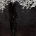 Closeup of this XL Speckled Brazilian Cowhide, showing mostly solid black on the back with hints of dark brown mixed in, a few white speckles on the spine, and white with black speckles and spots on the shoulder (BRSP3836)