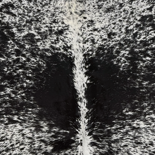 Closeup of this XXL Speckled Brazilian Cowhide, showing white with black speckles and spots (BRSP3838)