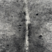 Closeup of this Speckled Brazilian Cowhide, showing white with black speckles and spots (BRSP3839)
