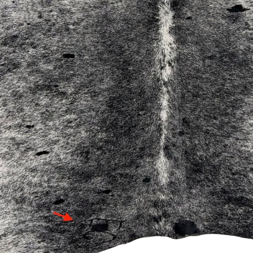 Closeup of this black and white Speckled Brazilian Cowhide, showing one brand mark on the left side of the butt  (BRSP3839)