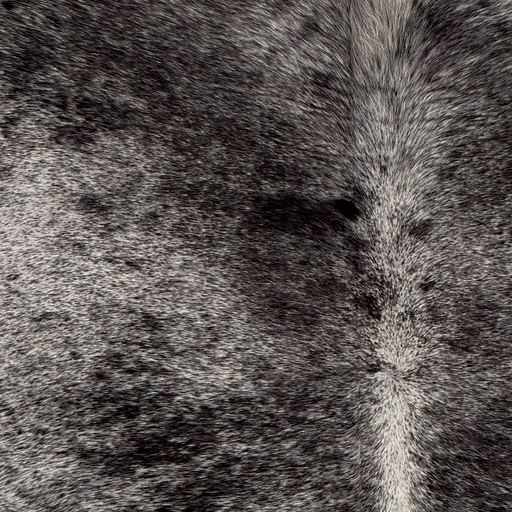 Closeup of this Large Speckled Brazilian Cowhide, showing white with black speckles and spots (BRSP3840)