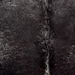 Closeup of this Speckled Brazilian Cowhide, showing black with white speckles  (BRSP3841)
