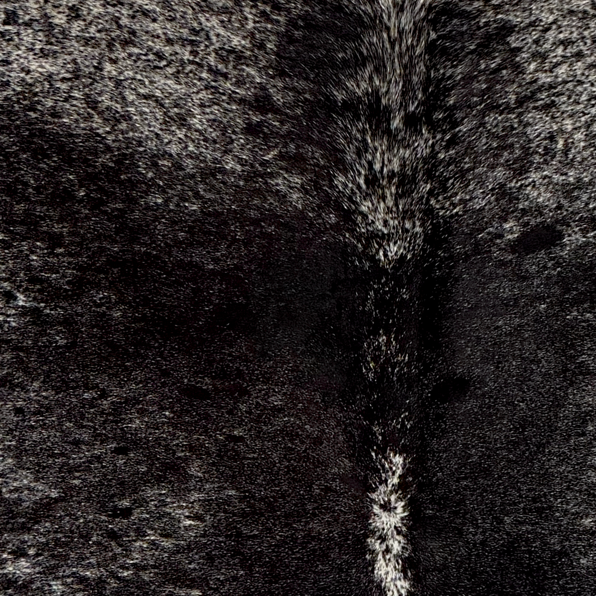 Closeup of this Speckled Brazilian Cowhide, showing white black spots and speckles (BRSP3843)