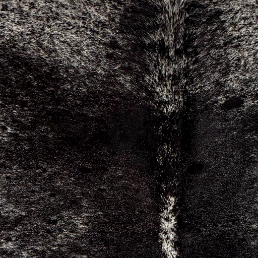 Closeup of this Speckled Brazilian Cowhide, showing white black spots and speckles (BRSP3843)