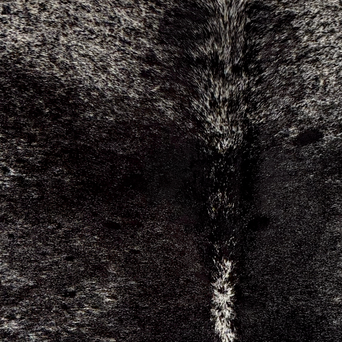 Closeup of this Speckled Brazilian Cowhide, showing white black spots and speckles (BRSP3843)