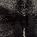 Closeup of this Speckled Brazilian Cowhide, showing white black spots and speckles (BRSP3843)
