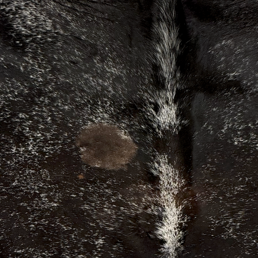 closeup of this Speckled Brazilian Cowhide, showing black with white speckles and spots, and a few brown spots (BRSP3844)