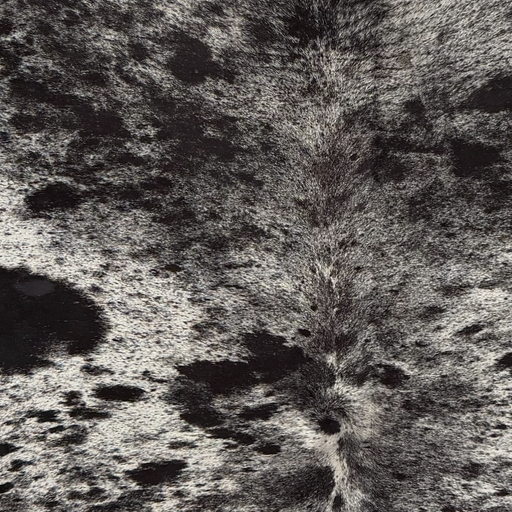 Closeup of this Speckled Brazilian Cowhide, showing white with black speckles and spots (BRSP3845)