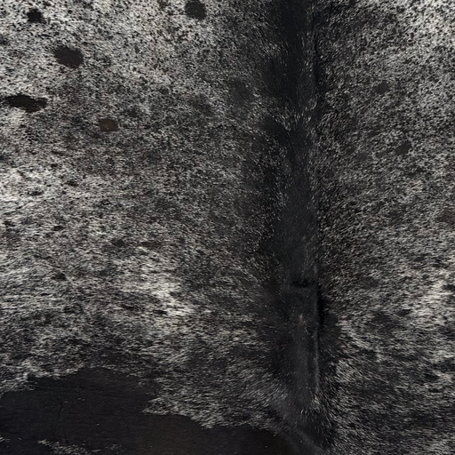 Closeup of this Large Speckled Brazilian Cowhide, showing white with black speckles and spots (BRSP3847)