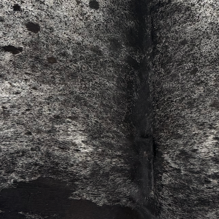 Closeup of this Large Speckled Brazilian Cowhide, showing white with black speckles and spots (BRSP3847)