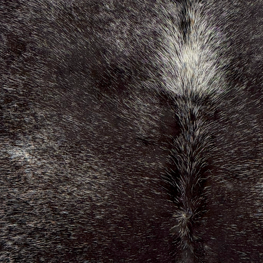 Closeup of this Large Speckled Brazilian Cowhide, showing black with white speckles (BRSP3848)