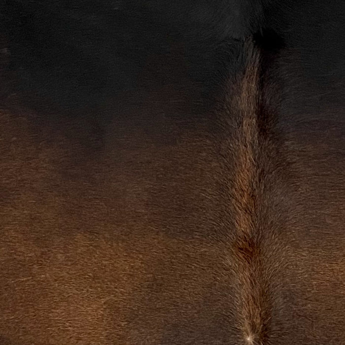 Closeup of this Large Brazilian Watusi Cowhide, showing a mix of brown, black, and blackish brown  (BRWA081)