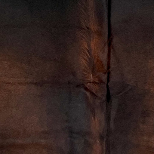 Closeup of this Brazilian Watusi Cowhide, showing has a mix of reddish brown and black (BRWA085)