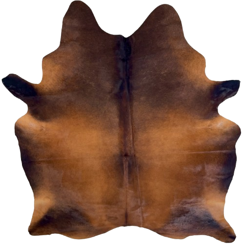 Red Brown and Black Brazilian Watusi Cowhide: has a mix of red brown, dark brown, and black - 7'5" x 5'10" (BRWA090)