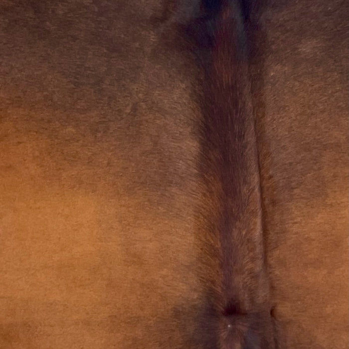 Closeup of this Brazilian Watusi Cowhide, showing a mix of red brown, dark brown, and black (BRWA090)