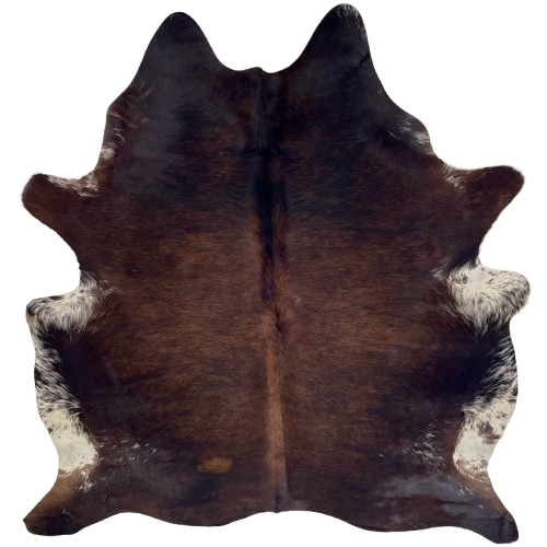Black and Reddish Brown Brazilian Watusi Cowhide: has a mix of black and reddish brown, and white with black and reddish brown speckles and spots on the belly - 6'8" x 5'9" (BRWA091)