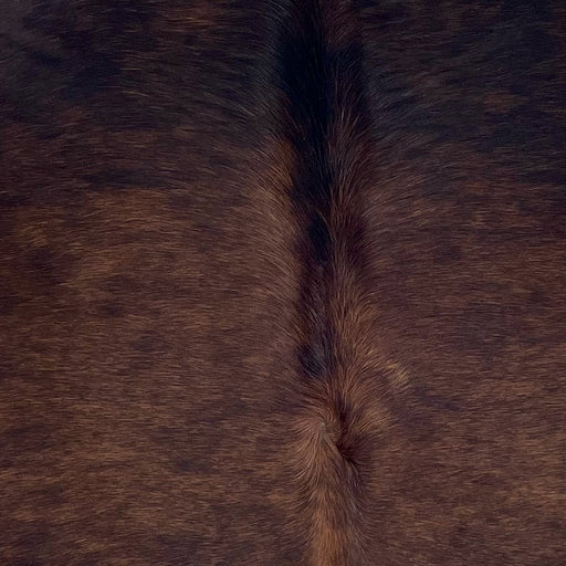 Closeup of this Brazilian Watusi Cowhide, showing a mix of black and reddish brown (BRWA091)