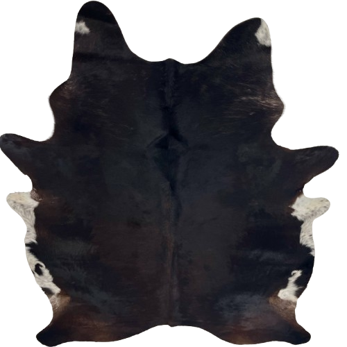 Black and Dk Reddish Brown Brazilian Watusi Cowhide: has a mix of black and dark reddish brown, and white spots on the belly - 7'11" x 6'1" (BRWA092)