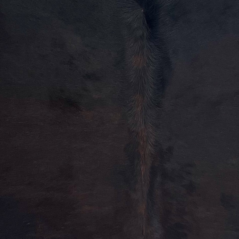 Closeup of this Brazilian Watusi Cowhide, showing a mix of black and dark reddish brown (BRWA092)