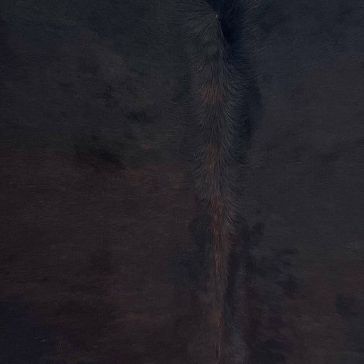 Closeup of this Brazilian Watusi Cowhide, showing a mix of black and dark reddish brown (BRWA092)