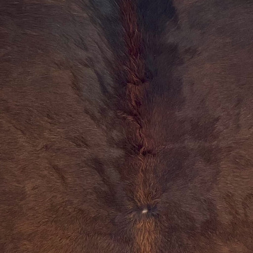 Closeup of this Brazilian Watusi Cowhide, showing a mix of red brown and black  (BRWA093)