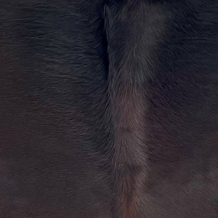 Closeup of this Brazilian Watusi Cowhide, showing a mix of black and red brown, and longer hair down the spine  (BRWA094)