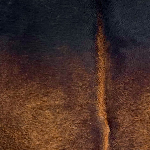 Closeup of this Brazilian Watusi Cowhide, showing a mix of red brown and black  (BRWA095)