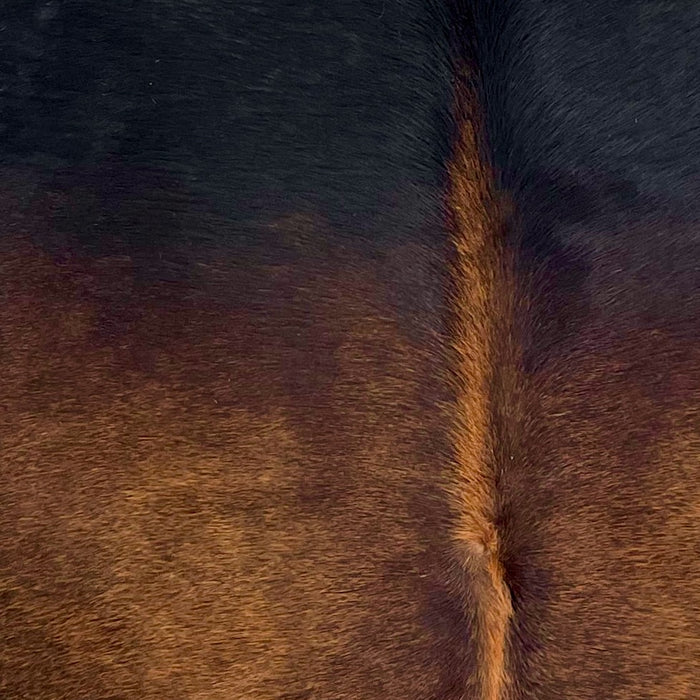 Closeup of this Brazilian Watusi Cowhide, showing a mix of red brown and black  (BRWA095)
