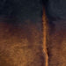 Closeup of this Brazilian Watusi Cowhide, showing a mix of red brown and black  (BRWA095)