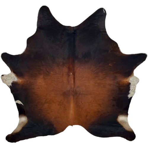Red Brown and Black Brazilian Watusi Cowhide: has a mix of red brown and black - 6'10" x 5'11" (BRWA098)