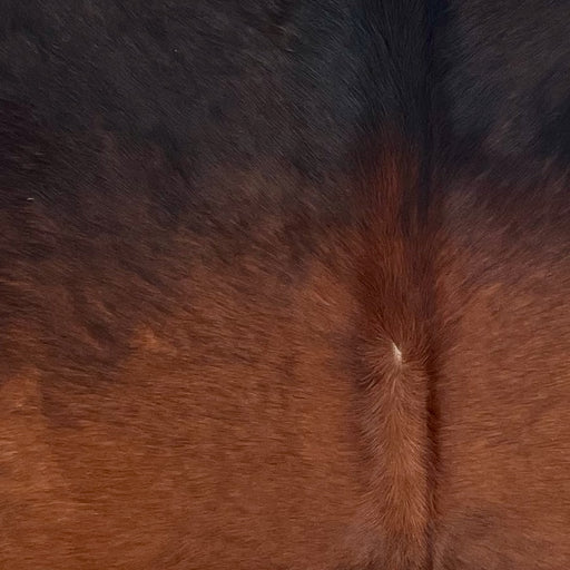 Closeup of this Brazilian Watusi Cowhide, showing a mix of red brown and black  (BRWA098)