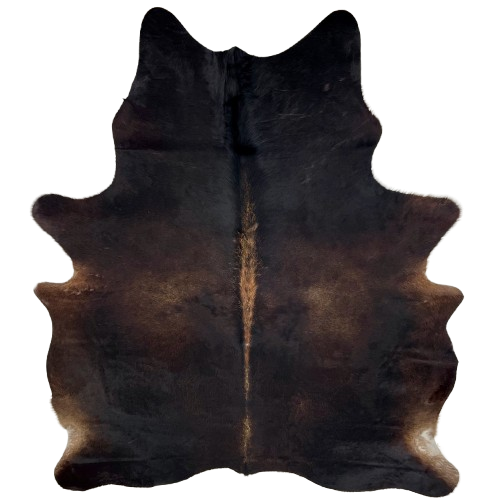 Black and Brown Brazilian Watusi Cowhide: has a mix of black and brown, and brown down the spine - 7'3" x 5'7" (BRWA099)