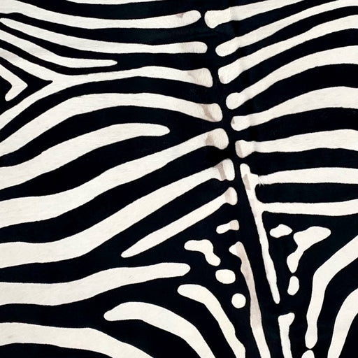 Closeup of this Off-White, Brazilian Cowhide, showing a stenciled, black, zebra print (BRZP041)