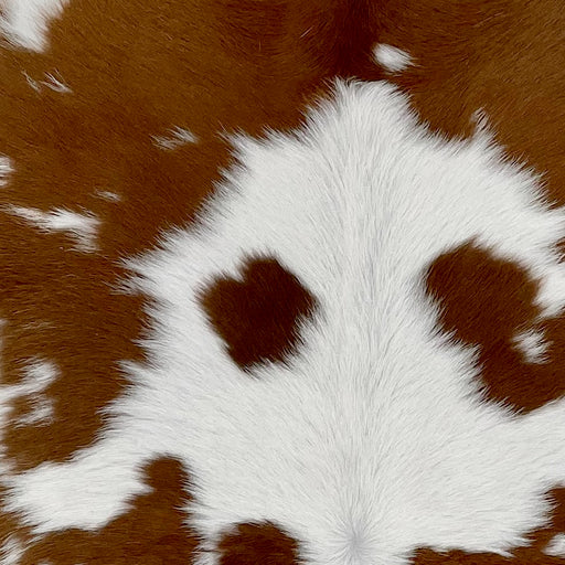 Closeup of this White and Brown Calfskin, showing white with small and large, brown spots (CALF587)