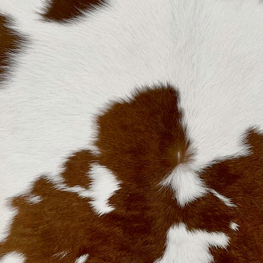 Closeup of this White and Brown Calfskin, showing white with brown spots (CALF590)