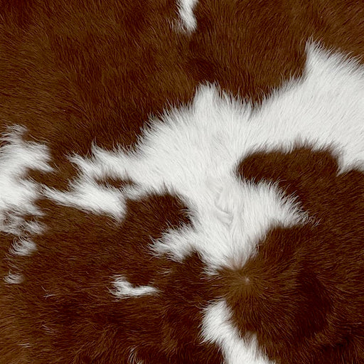 Closeup of this Chocolate and White Calfskin, showing white with chocolate spots (CALF593)