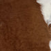 Closeup of this Calfskin, showing solid brown and white on part of the belly (CALF594)