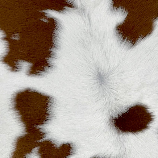 Closeup of this Calfskin, showing white with chocolate spots (CALF596