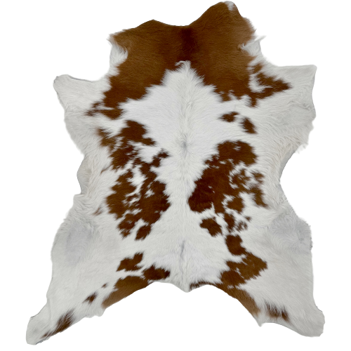 White and Chocolate Calfskin:  white with chocolate spots, and off-white on part of the belly - 2'10" x 2'7" (CALF598)