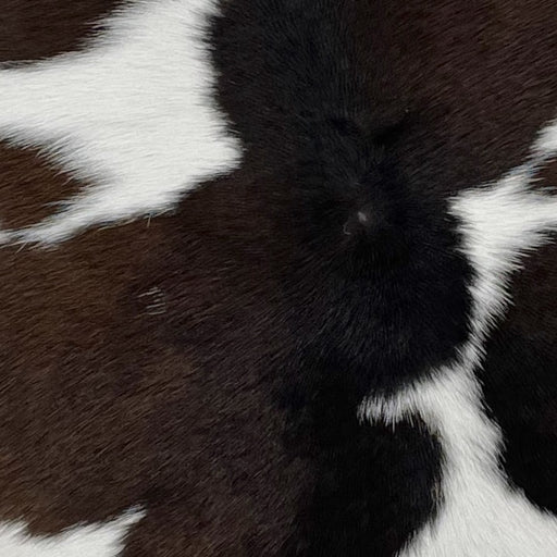 Closeup of this White and Dark Chocolate Calfskin, showing white with dark chocolate spots (CALF604)