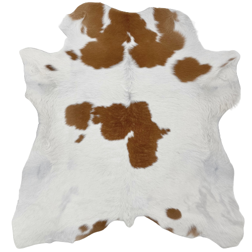 White and Brown Calfskin:  white with a few brown spots on the shoulder, in the middle of the back, and along the lower edge - 3'1" x 2'11" (CALF606)