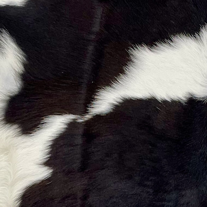 Closeup of this Brownish Black and White Calfskin, showing black, with hints of brown, and a white spot across the middle, and white on the belly (CALF612)