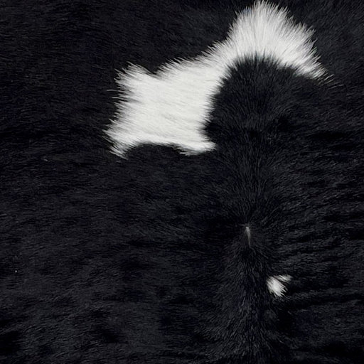 Closeup of this Black and White Calfskin, showing black with one large and one small white spots in the middle (CALF618)