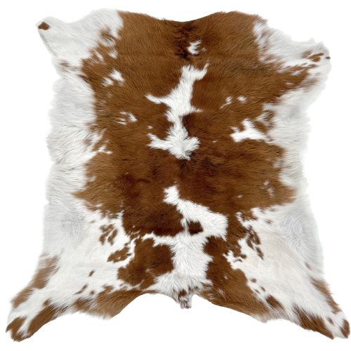 Brown and White Calfskin:  white with large and small, brown spots - 2'10" x 2'9" (CALF620)