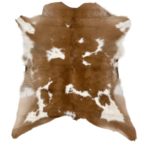 Brown and White Calfskin:  brown with white spots - 2'10" x 2'8"  (CALF621)
